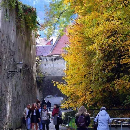 Rope Street Nr 17 דירה